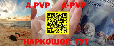 гашик Берёзовский