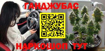 гашик Берёзовский