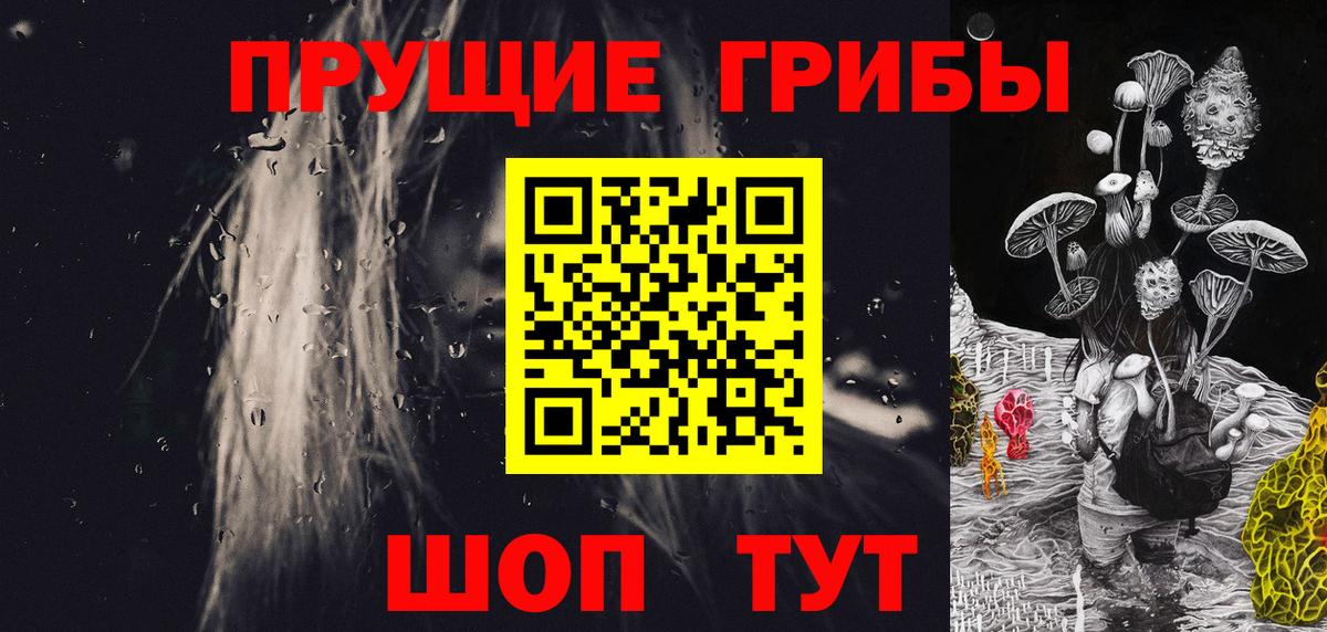 Зеленогорск  Псилоцибиновые грибы мухоморы  Вход с VPN 